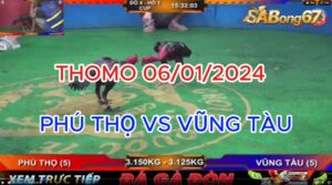 đá gà phú thọ vs vũng tàu