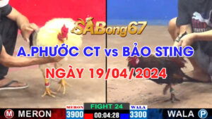 PHUOC CT VS BAO STING