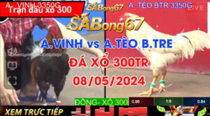 ANH VINH VS ANH TEO BTRE