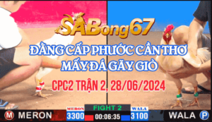 tho dong nai vs phuoc can tho 28.06