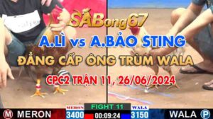 anh li vs anh bao sting tran 11 c2