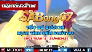 TRƯỜNG ĐN VS TOÀN TRẮNG TV