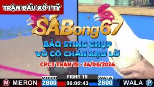 TRÒN KG VS BẢO STING