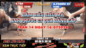 anh tan vs anh phuoc can thơ