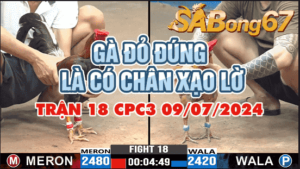 anh bao vs anh thanh