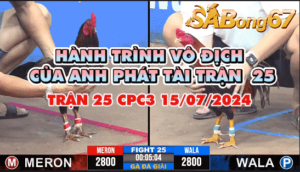 anh az888 vs anh phat tai