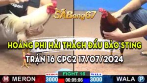 CPC2 Trận 16 17/07/2024, A.BẢO STING VS A.HOÀNG PHI HẢI