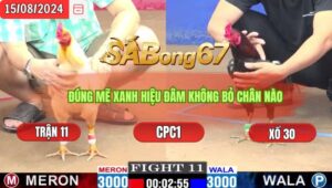 Trận 11 CPC1 15/8/2024 Anh Minh Đá Xổ Anh Hòa