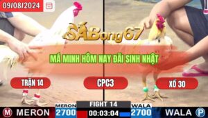 Trận 14 CPC3 9/8/2024 Anh Minh Đá Xổ Anh Quang