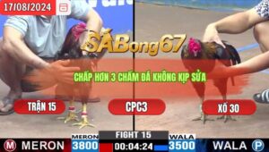 Trận 15 CPC3 17/8/2024 Anh Huy Đá Xổ Anh Tí Sài Gòn