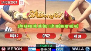 Trận 2 CPC2 14/8/2024 Ông Thầy Đá Xổ Anh Bảo Sting