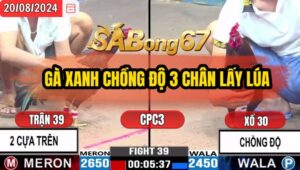 Trận 39 CPC3 20/8/2024 Anh Huy Đá Xổ Anh Quang