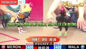 Trận 7 CPC1 29/8/2024 Anh Móm Đá Xổ Anh Đen