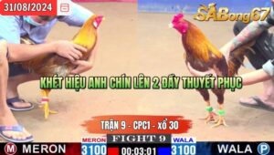 Trận 9 CPC1 31/8/2024 Anh Chín Đá Xổ Anh Hải