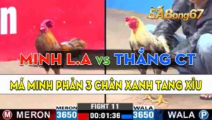 Trận 11 CPC3 08/09/2024 - Anh Minh Long An Và Anh Thắng Cần Thơ