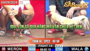 Trận 14 CPC2 04/09/2024 Anh Sơn L.An Đá Xổ Anh Bảo Sting