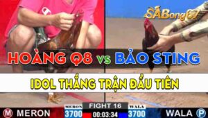 Trận 16 CPC2 18/09/2024 - Idol Bảo Sting Có Trận Thắng Đầu Tiên