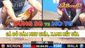 Trận 16 CPC3 08/09/2024 - Gà Anh Dũng Sài Gòn Đá Đâm Như Chỉa