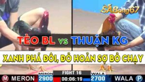 Trận 16 CPC3 18/09/2024 - Anh Tèo Bảo Lộc Và Anh Thuận Kiên Giang