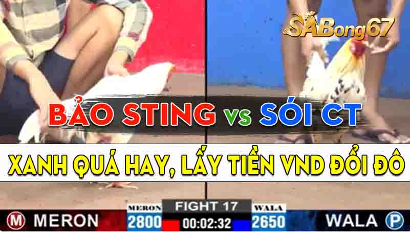 Trận 17 CPC2 18/09/2024 - Anh Bảo Sting Và Anh Sói Cần Thơ