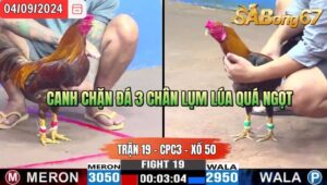 Trận 19 CPC3 04/09/2024 Anh Lực VT Đá Xổ Anh Cường B.Tre