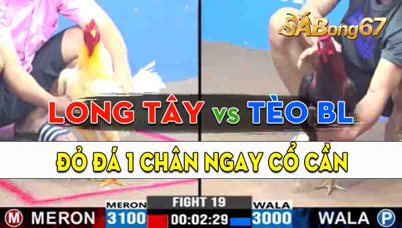 Trận 19 CPC3 18/09/2024 - Anh Long Tây Và Anh Tèo Bảo Lộc