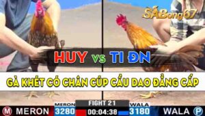 Trận 21 CPC3 12/09/2024 - Gà Anh Ti Đồng Nai Có Chân Cựa Chí Mạng