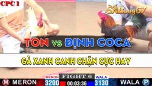 Trận 6 CPC1 10/09/2024 - Gà Anh Định Coca Canh Thời Cơ Dứt Điểm