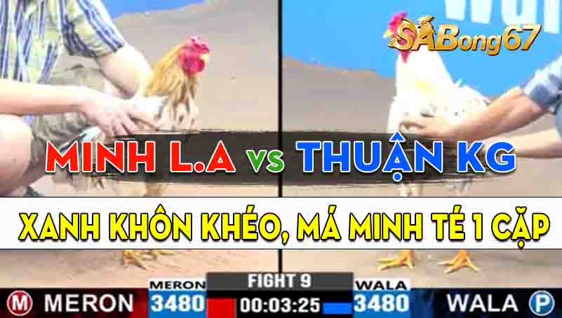 Trận 9 CPC3 18/09/2024 - Gà Anh Thuận Kiên Giang Canh Chặn Quá Hay